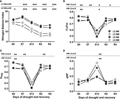 Expression patterns of maize PIP aquaporins in middle or upper leaves correlate with their different physiological responses to drought and mycorrhiza